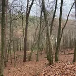 Siedlisko Jesionna Σπίτι διακοπών