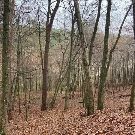 Siedlisko Jesionna Prázdninový dům