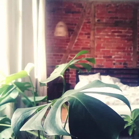 Siedlisko Jesionna בית נופש *