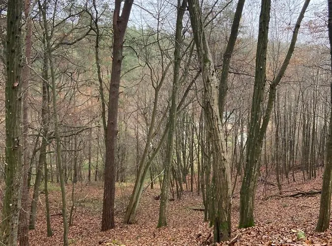 Siedlisko Jesionna Дом отдыха