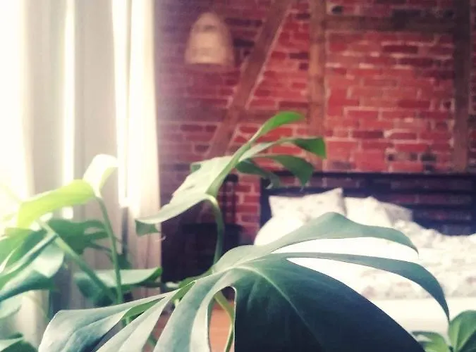 Siedlisko Jesionna Дом отдыха *